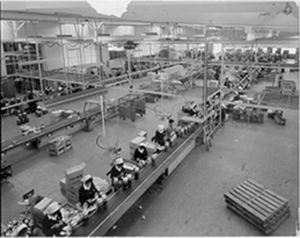 Tiger's Manufacturing Process