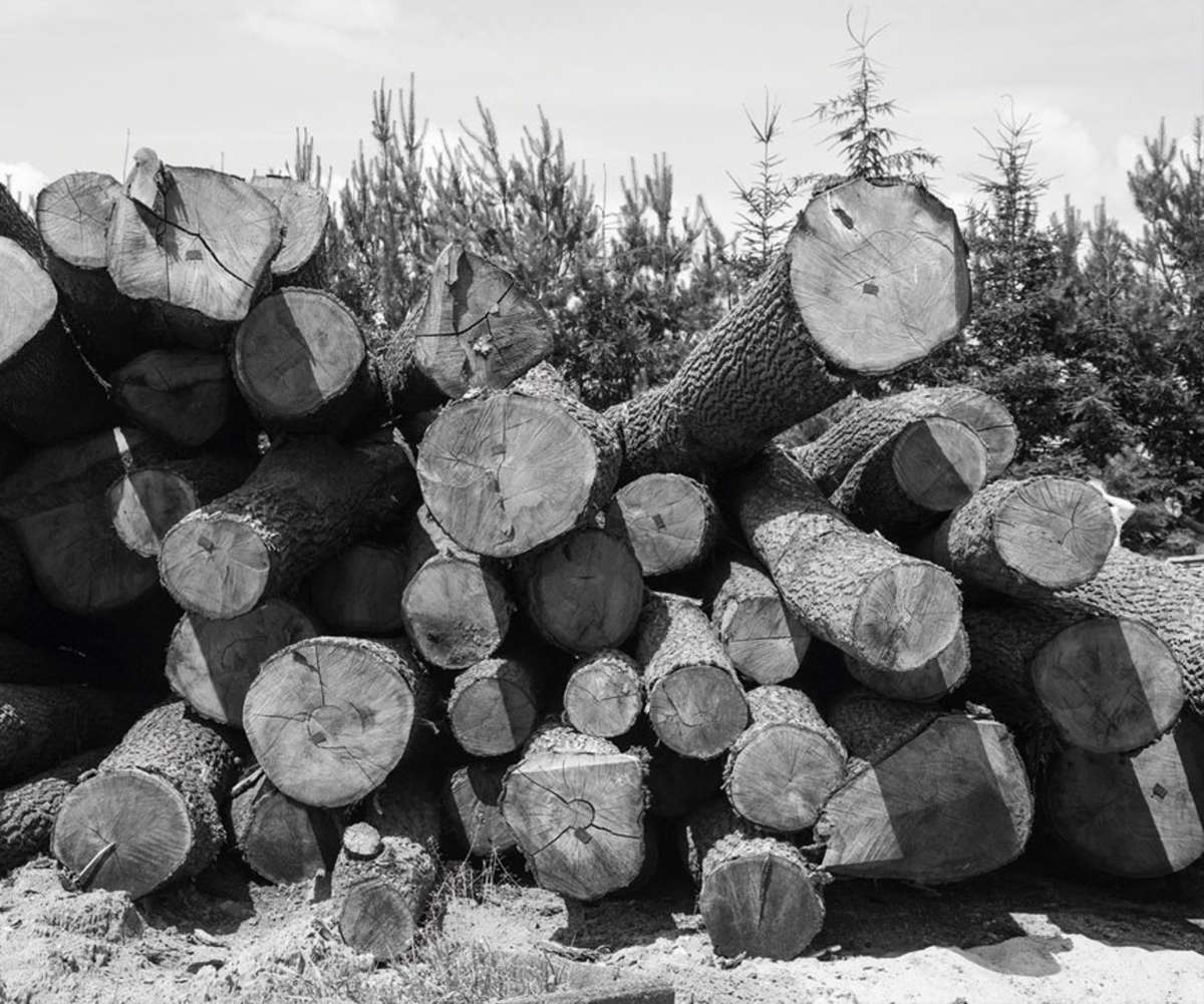 SUSTAINABLY-SOURCED WOOD